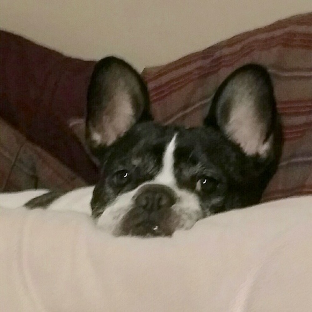 I ALWAYS DISCOUNT BUNDLES!!